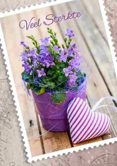 Prentbriefkaart sterkte