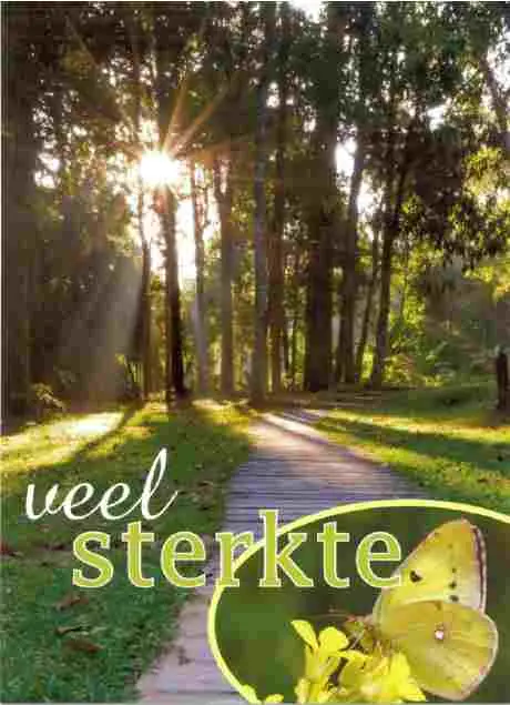 Prentbriefkaart sterkte