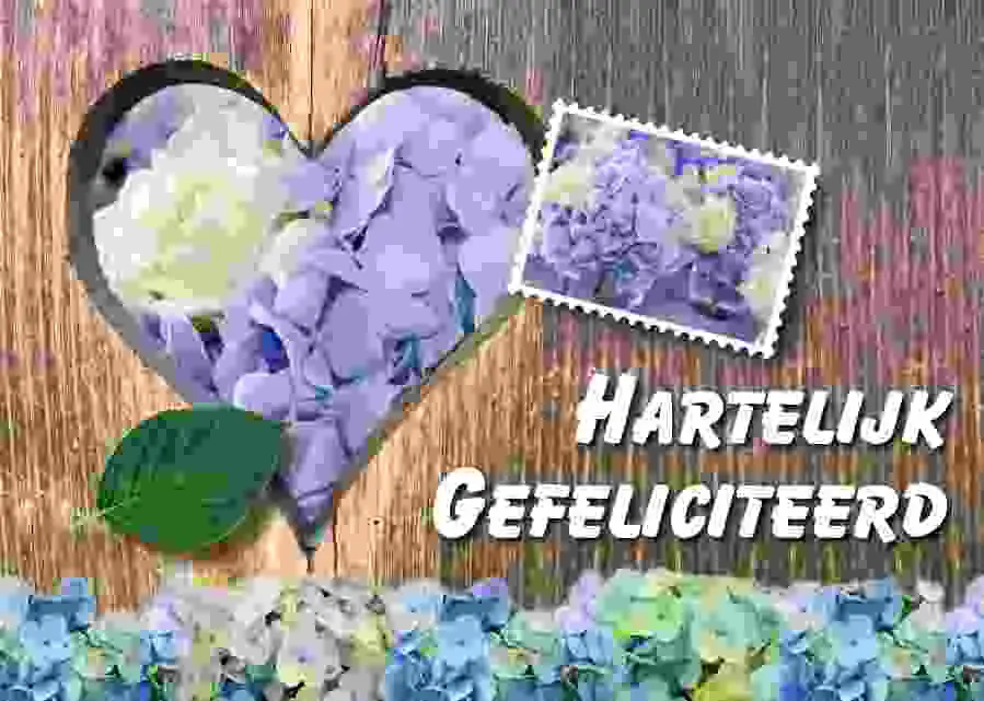 Prentbriefkaart gefeliciteerd