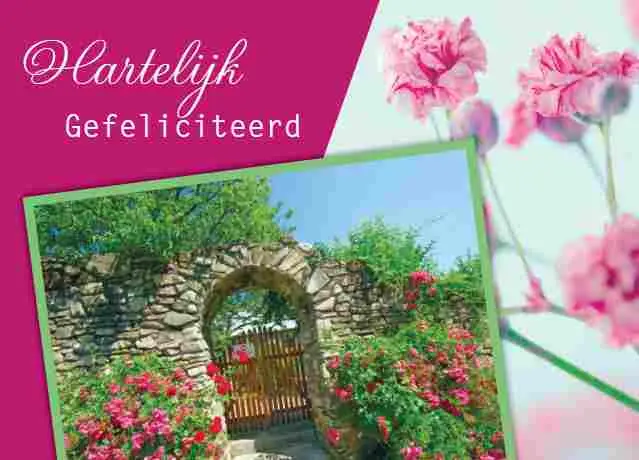 Prentbriefkaart gefeliciteerd