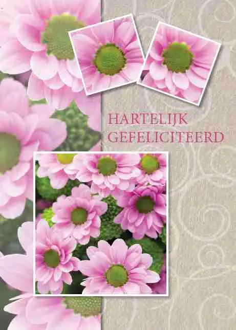 Prentbriefkaart gefeliciteerd