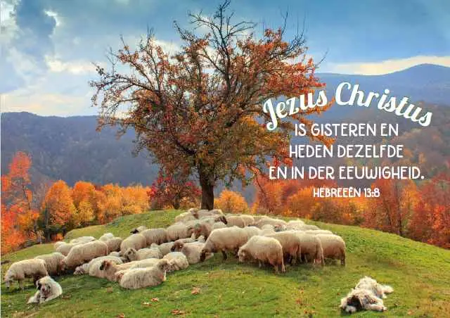 Prentbriefkaart blanco