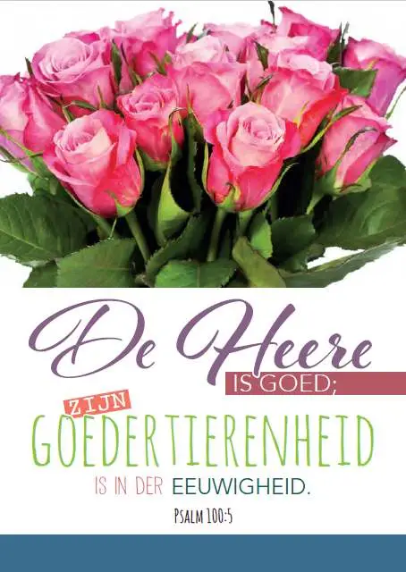 Prentbriefkaart blanco