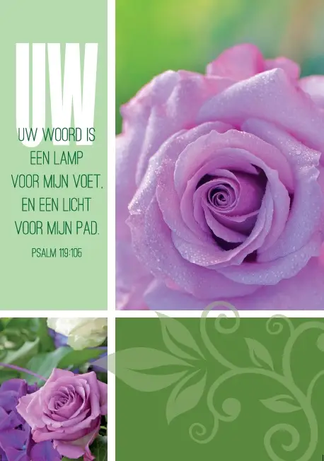 Prentbriefkaart blanco