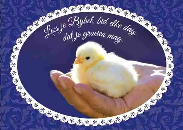 Prentbriefkaart blanco