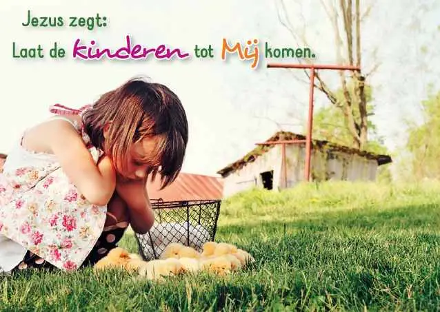 Prentbriefkaart blanco