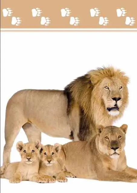 Prentbriefkaart blanco