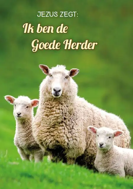 Prentbriefkaart blanco