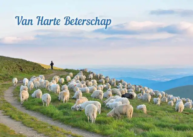 Prentbriefkaart beterschap