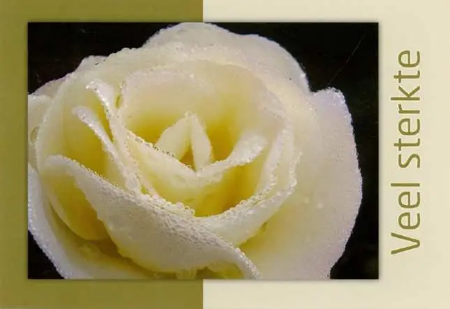 Prentbriefkaart sterkte