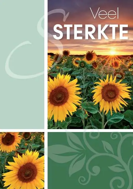 Prentbriefkaart sterkte