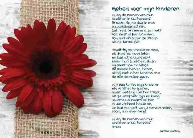 Prentbriefkaart gebed voor mijn kinderen