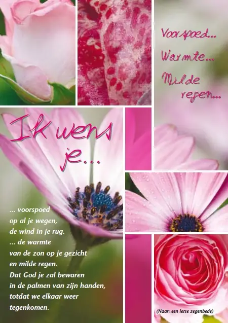 Prentbriefkaart ik wens je