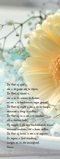 Boekenlegger zegen van st patrick