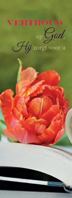 Boekenlegger vertrouw op God