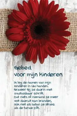 Minikaart gebed voor mijn kinderen