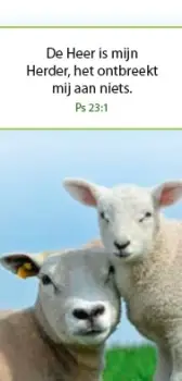 Boekenlegger magneet psalm 23:1