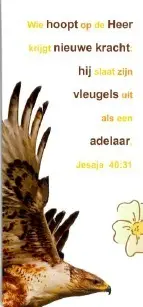 Boekenlegger magneet wie hoopt de op Hee