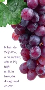 Boekenlegger magneet Ik ben de wijnstok