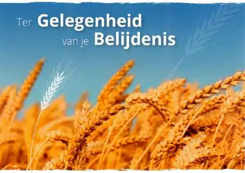 Prentbriefkaart tg van je belijdenis