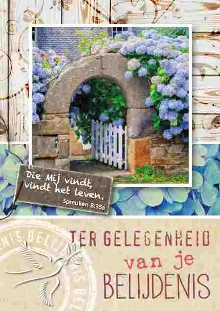 Prentbriefkaart belijden is geloven