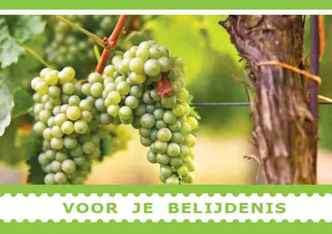 Prentbriefkaart voor je belijdenis