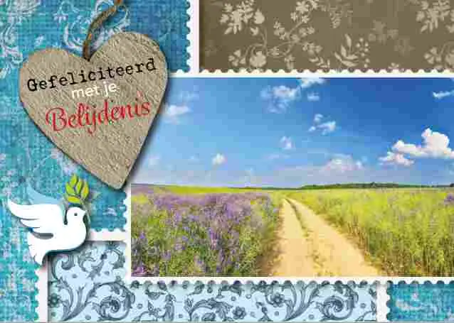 Prentbriefkaart gef met je belijdenis