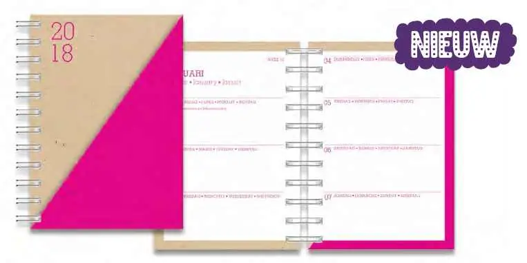 Agenda Neon Craft Medium Wired