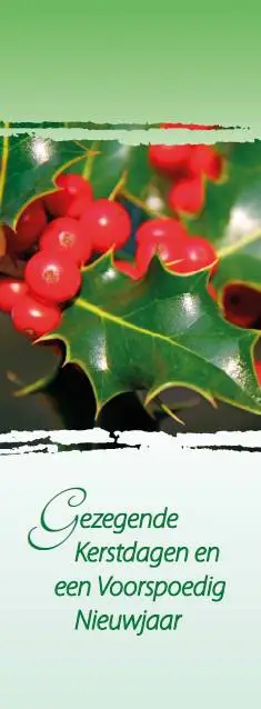 Boekenlegger Gez. k/n