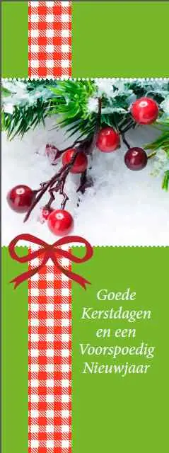 Boekenlegger Goede k/n