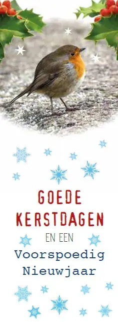 Boekenlegger goede kerstdagen