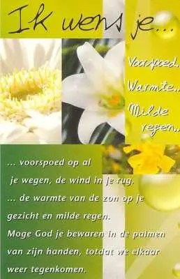 MINIKAART IK WENS JE  S25