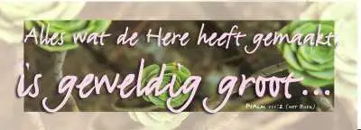 Boekenlegger alles wat de here heeft