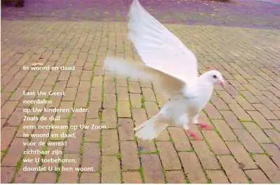 Map 5 prentbriefkaarten in woord en daad