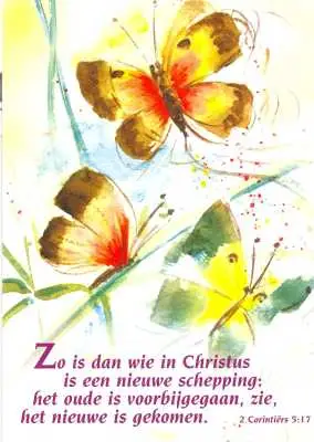 Map 5 prentbriefkaarten zo is dan wie in