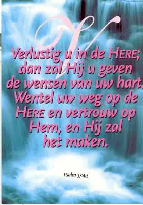 Map 5 prentbriefkaarten verlustig u in