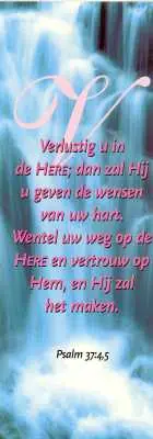 Boekenlegger verlustig u in de here