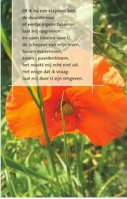 Minikaart klaproos of ik nu een