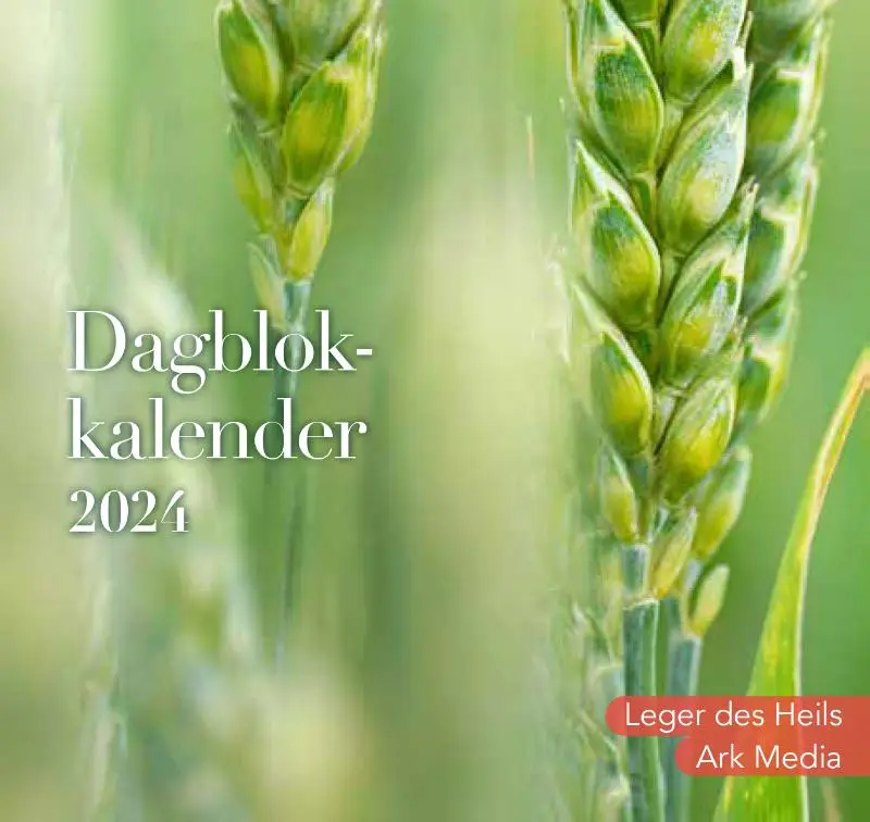Dag in dag uit 2024 nbv dagblok