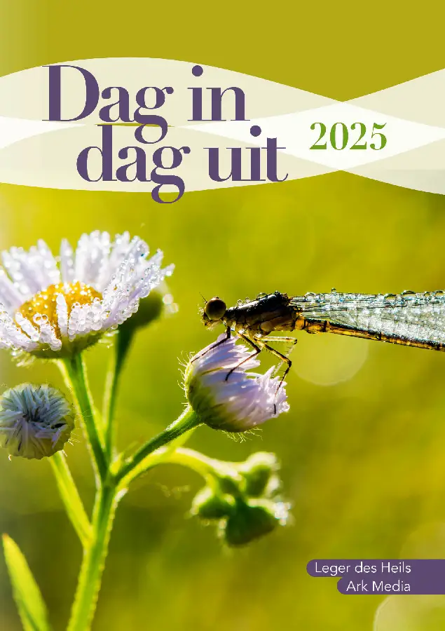 Dag in dag uit 2025 nbv klein