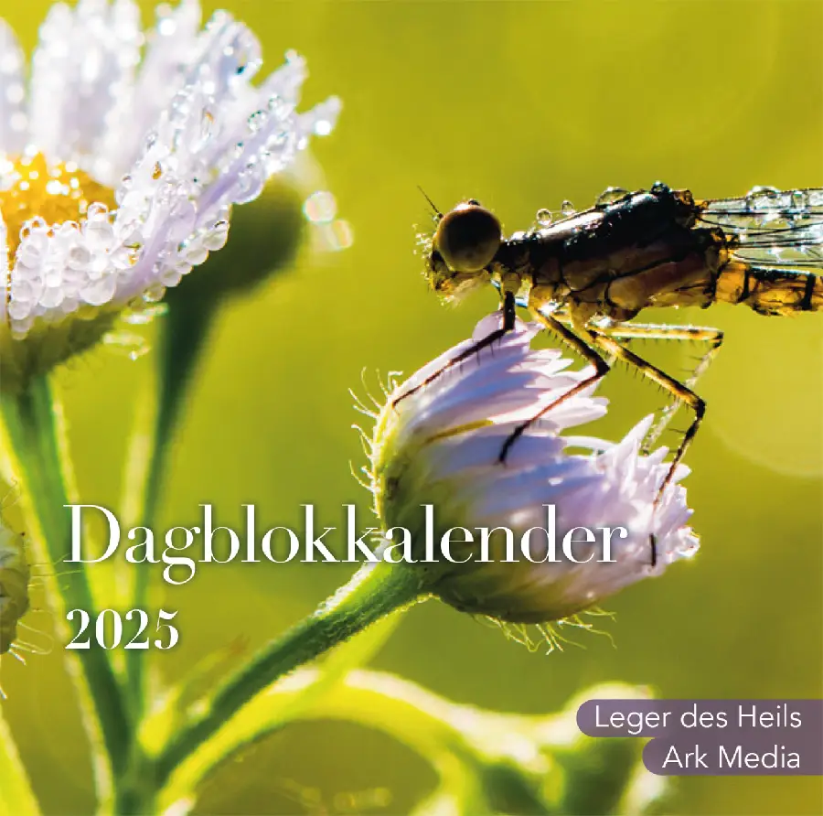 Dag in dag uit 2025 nbv dagblok