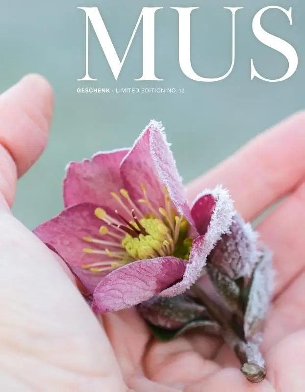 Mus - limited edition no. 12 - Geschenk
