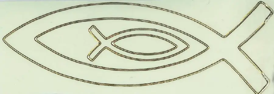 Stickervel vis lichtgevend