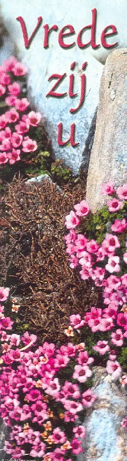 Boekenlegger vrede zij u