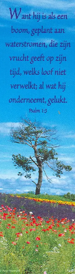 Boekenlegger psalm 1:3