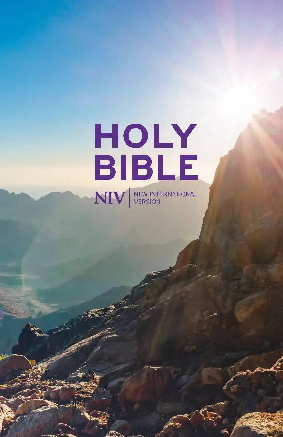 NIV thinline value bible colour hardback