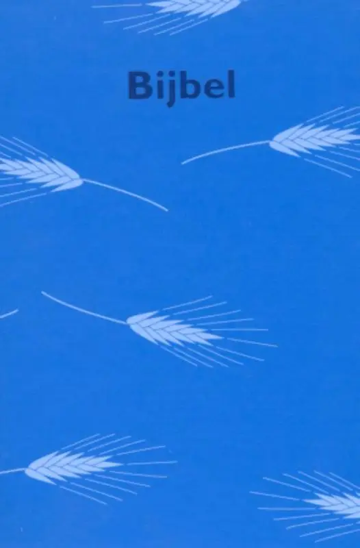 Schoolbijbel nbg '51 aren blauw