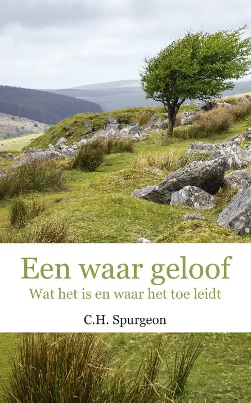 Waar geloof