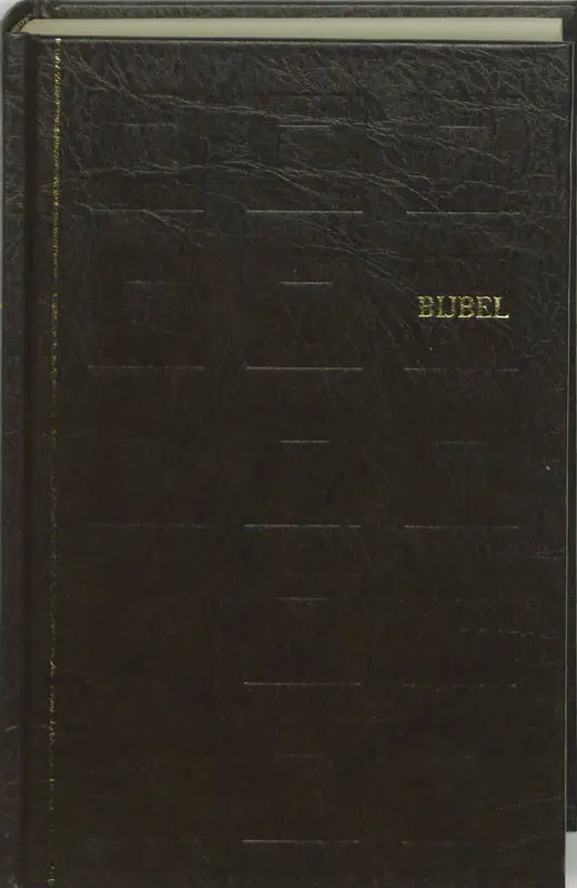 Huisbijbel 1313 nbg bruin