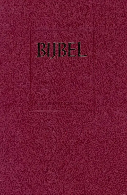 BIJBEL STV 16,5X24,5 HAND SCHOOLBIJBEL R